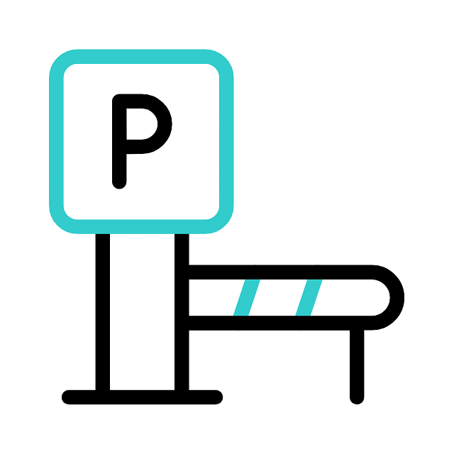 Parking icon