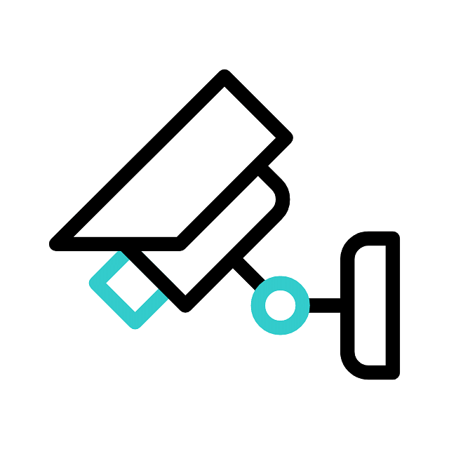 Camera icon