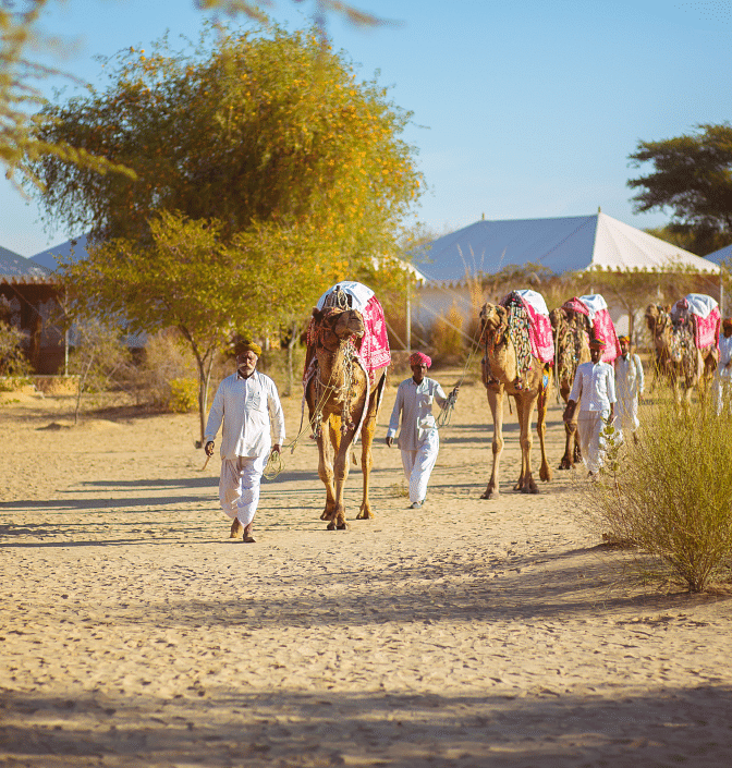 People walking alongside their camels through the desert