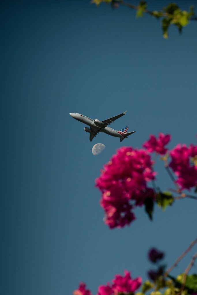 A small airplane flies high in the sky above vibrant pink bougainvillea flowers.