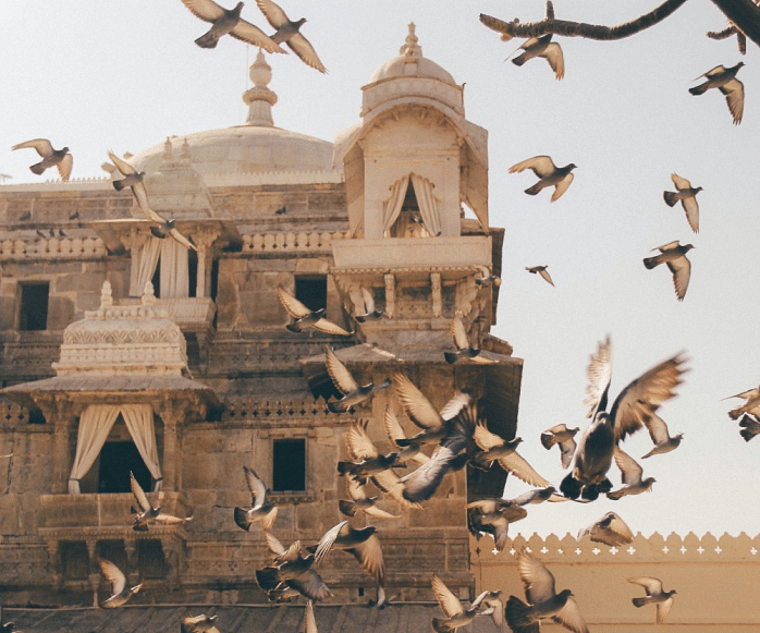 A image of a vintage palace with birds flying infront