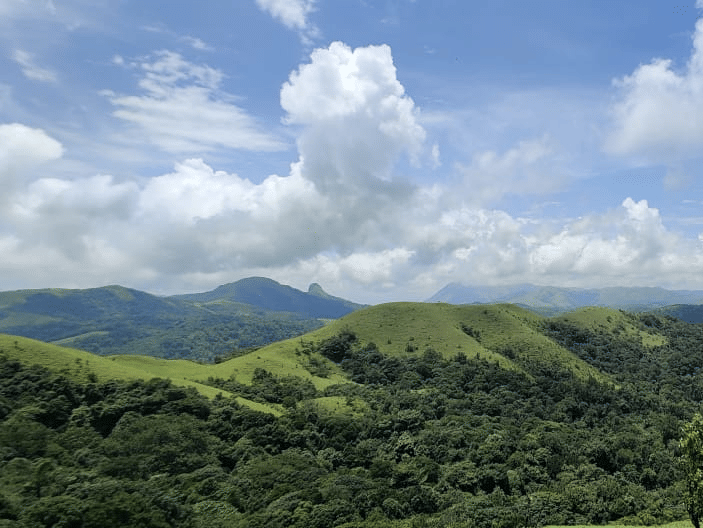 Scenic view of lush green hills near Machaan Plantation Resort