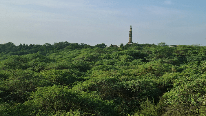 Sanjay-Van-Udman-Hotels