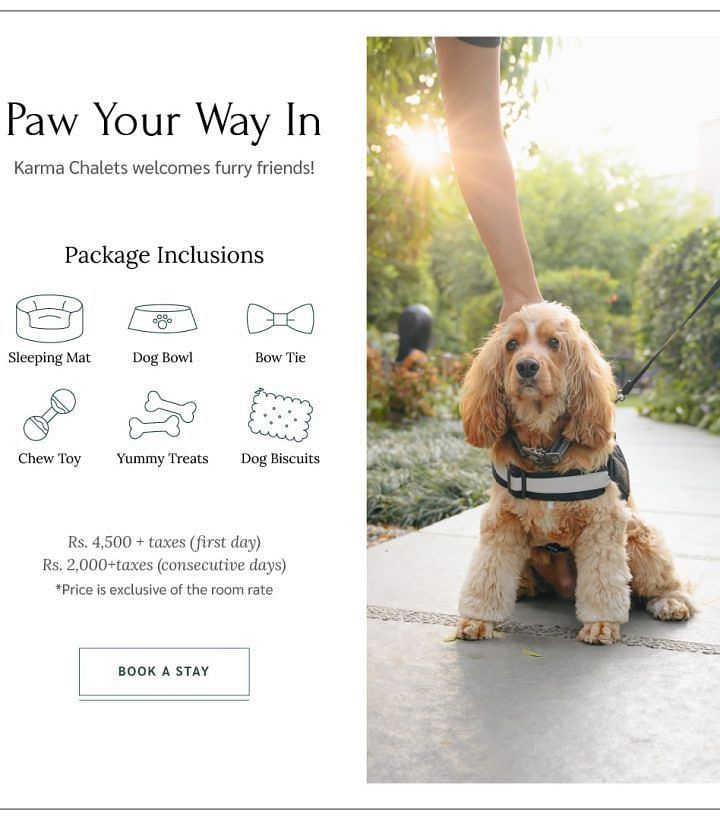 Sign reading Paw Your Way In next to a seated dog on the lawn at Karma Chalets.