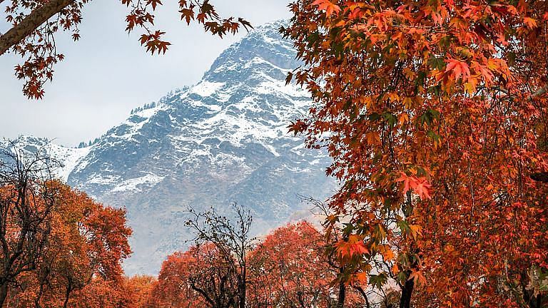 Shimla During Autumn