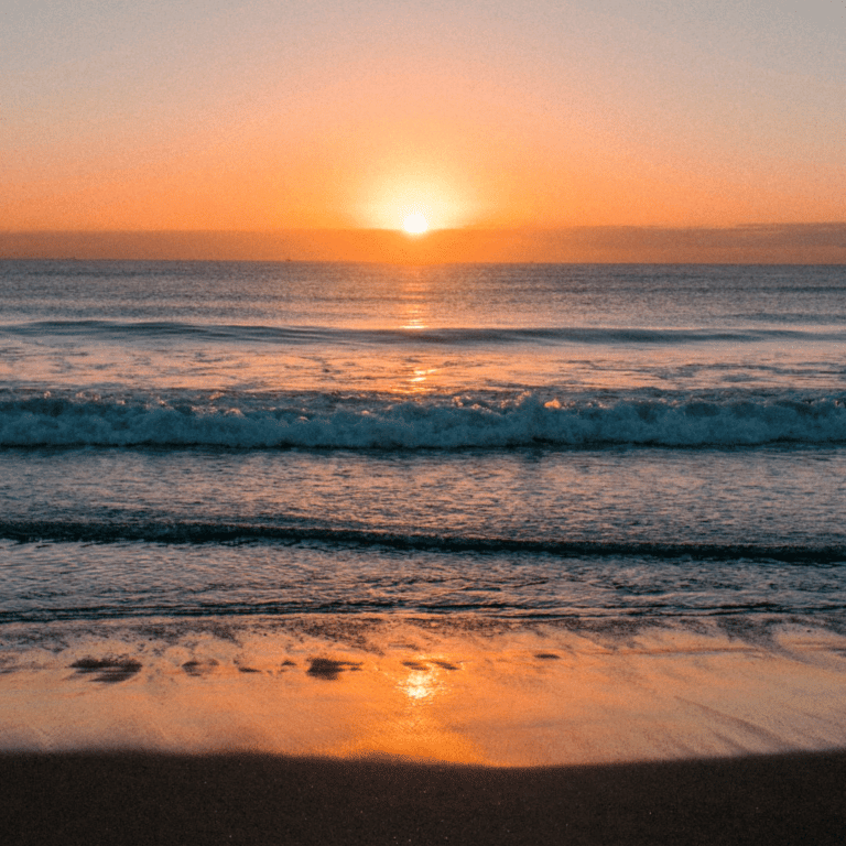 The sun sets over a calm ocean, casting a golden glow on the water and wet sand.
