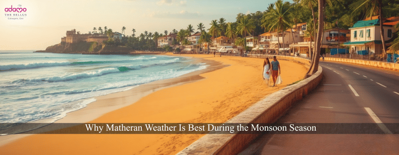 How to Plan a Trip to Goa