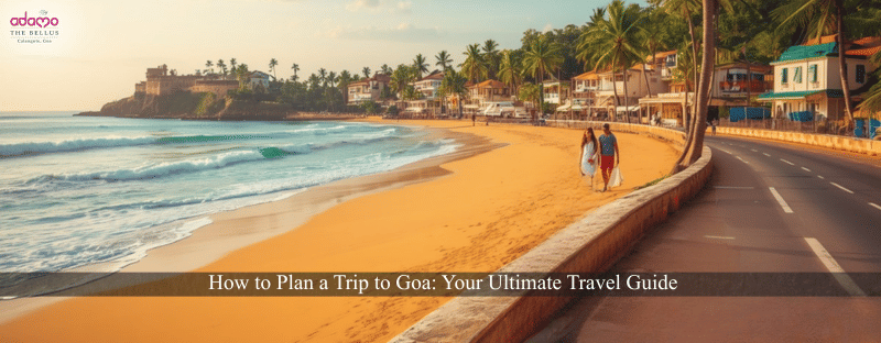 trip to goa