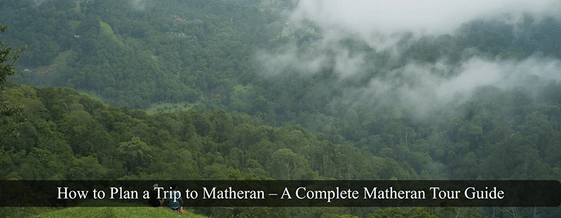 Fog covering the lush green mountains.