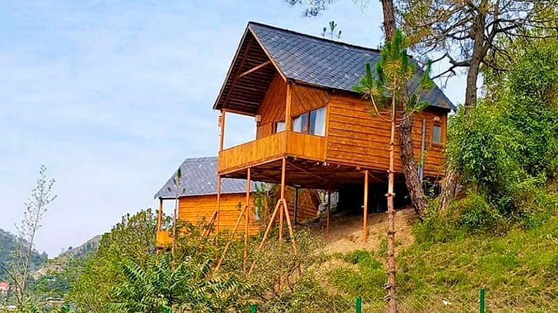Suro Treehouse Resort