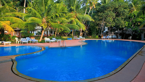 An overview of the swimming pool with coconut trees next to it - Abad Harmonia, Kovalam