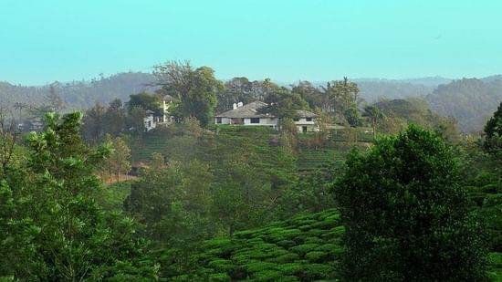 parisons plantation luxury resort wayanadu long distance view