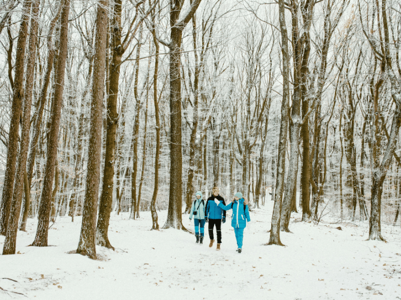 Three people walking together through a snowy forest trail, surrounded by tall bare trees.
