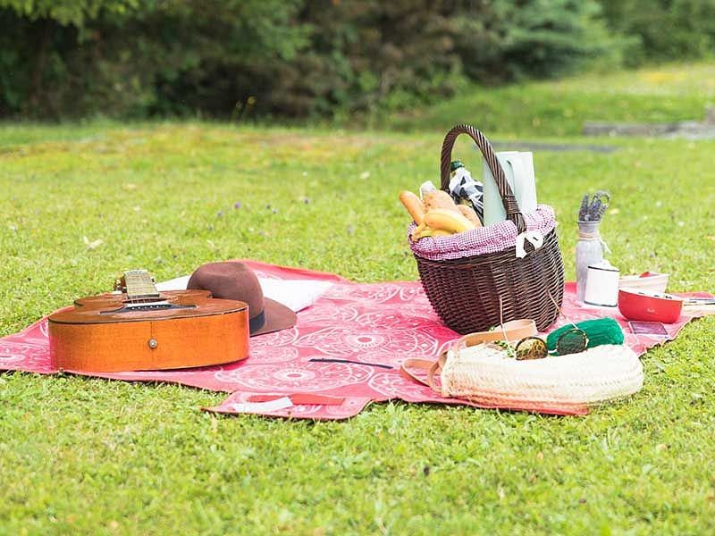 Picnic Spots for the Perfect Day
