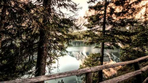 A view of a lake with christmas trees in the foreground and orange sky in the background.