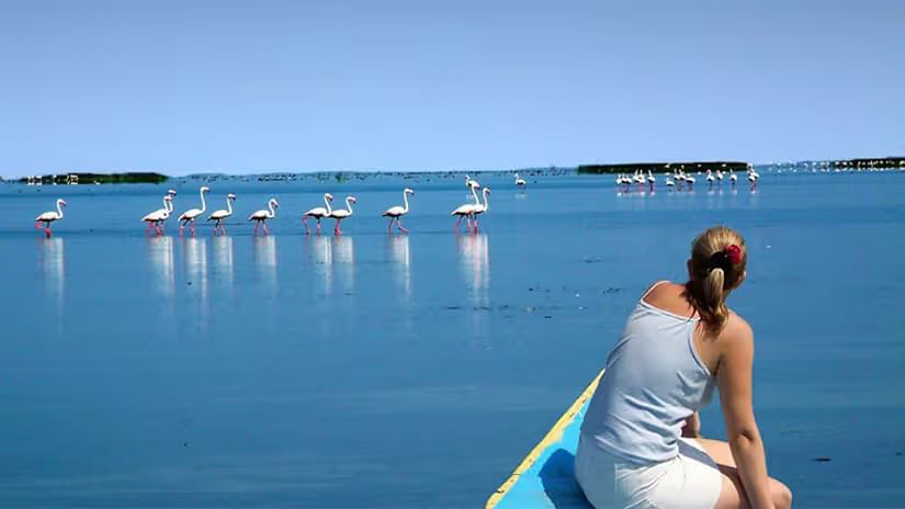 A lady birding at Chilika Lake on a clear, blue day