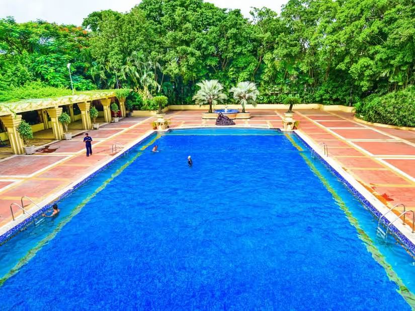 Front view of the swimming pool, showcasing the tiled sides and surrounded by plants and trees.