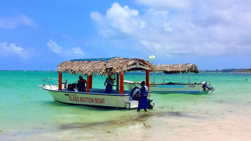 Glass Bottom Boat