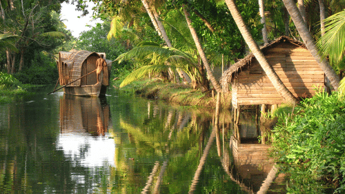 ann image showing the backwaters of kerala during the day