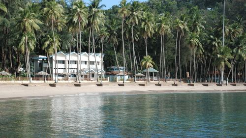 An overview of Corbyn's Cove Beach in Port Blair, Andaman with a building and coconut trees in view.