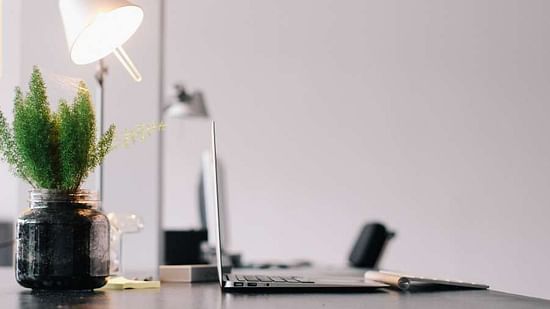 A desk features a lamp, potted plants, and a laptop, suggesting a workspace.