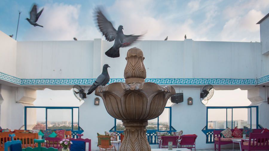 Pigeons settle on a water fountain of ta BLU, our rooftop bar in Jaipur 