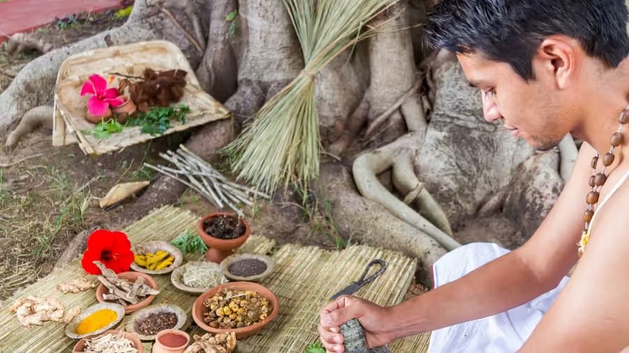 a man grinding spices next to a tree - Rhythm Lonavala