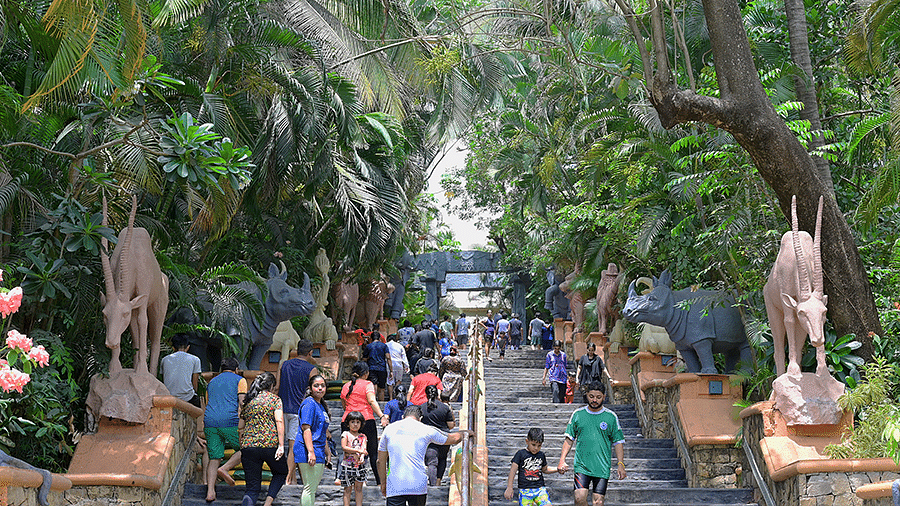 Water Kingdom - groups of people and a staircase surrounded by trees