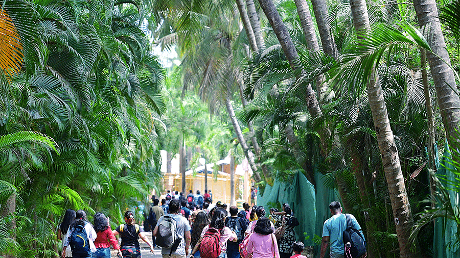 Water Kingdom - groups of people with trees surrounding at our water park