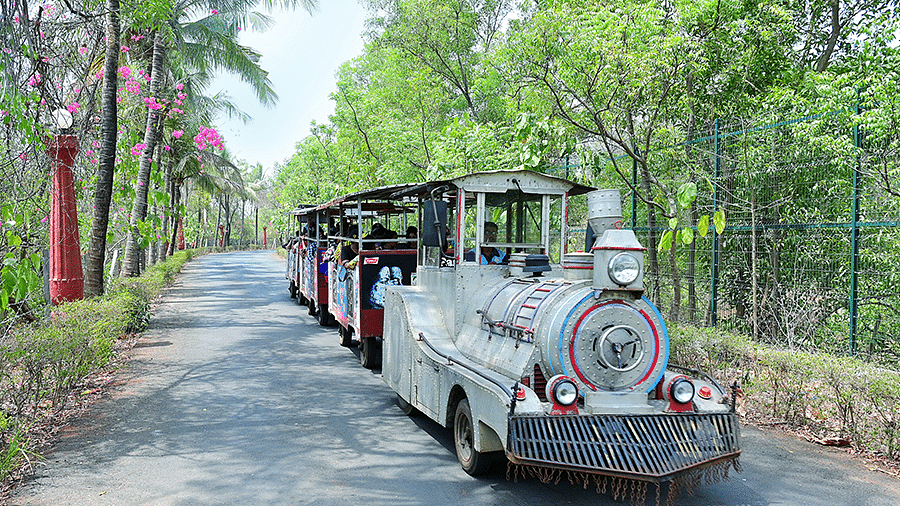 Water Kingdom - a train ride surrounded by trees at our water park
