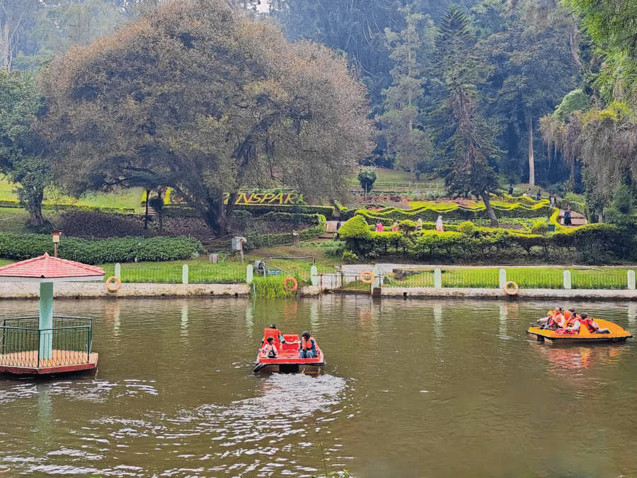 Visitors enjoying paddle boating on a calm lake surrounded by manicured gardens, tall trees and misty hills in the background.