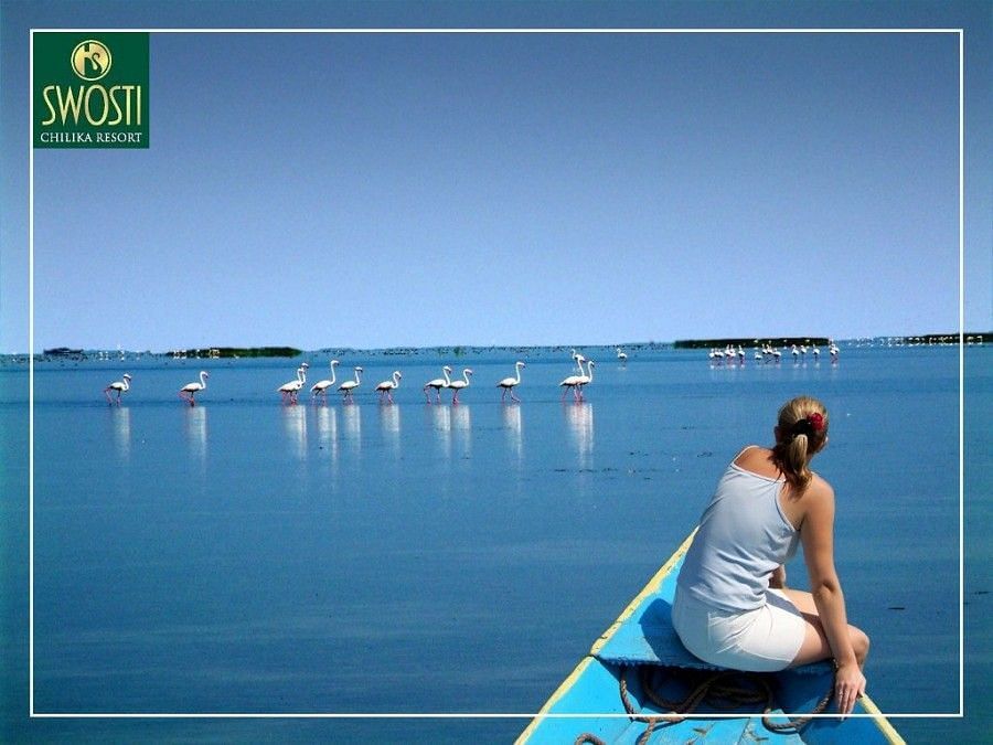 A lady on a boat, birdwatching during a clear, blue day
