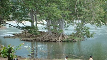 sangam01