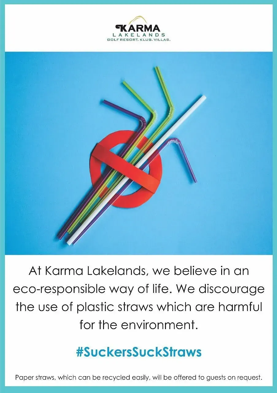 A graphic of straws with a message promoting eco conscious living.