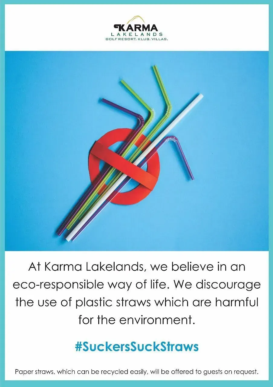 A graphic of straws with a message promoting eco conscious living.