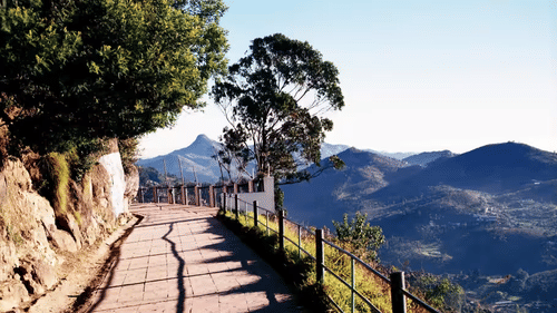 An overview of Coaker's Walk in Kodaikanal with mountains and trees in view - The Carlton, Kodaikanal