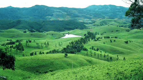 Mannavanur Sheep Far, The Carlton - 5 Star Hotel in Kodaikanal, hotel near kodaikanal lake