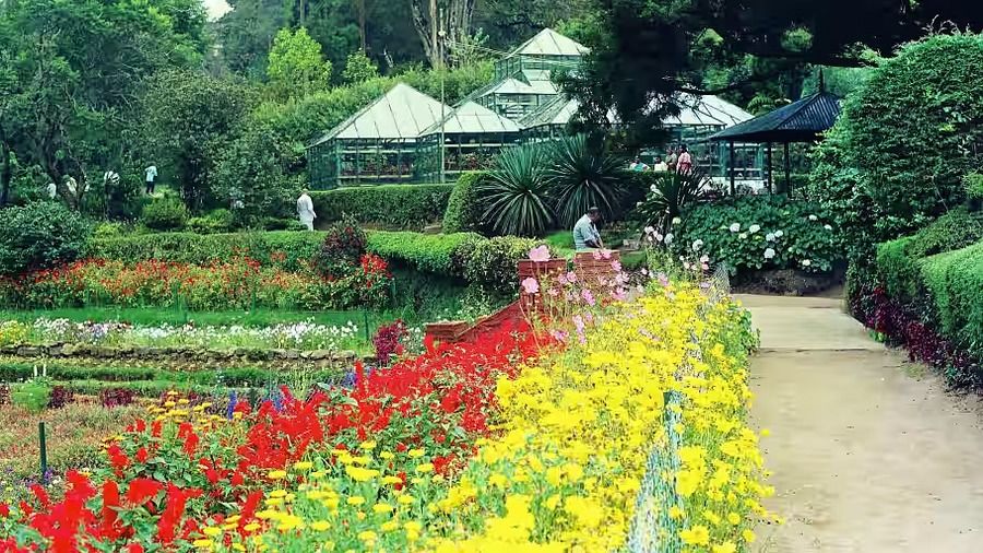 Brayant Park,The Carlton - 5 Star Hotel in Kodaikanal, hotel near kodaikanal lake