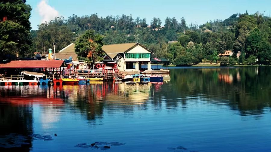 The Carlton - 5 Star Hotel in Kodaikanal Kodaikanal 1Lake