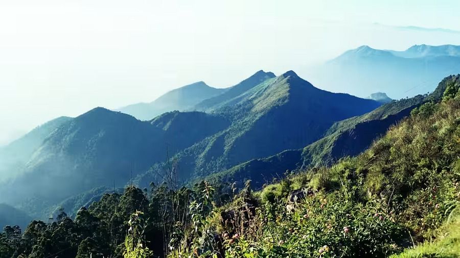 Valle View from Coaer s Walk,The Carlton - 5 Star Hotel in Kodaikanal, hotel near kodaikanal lake