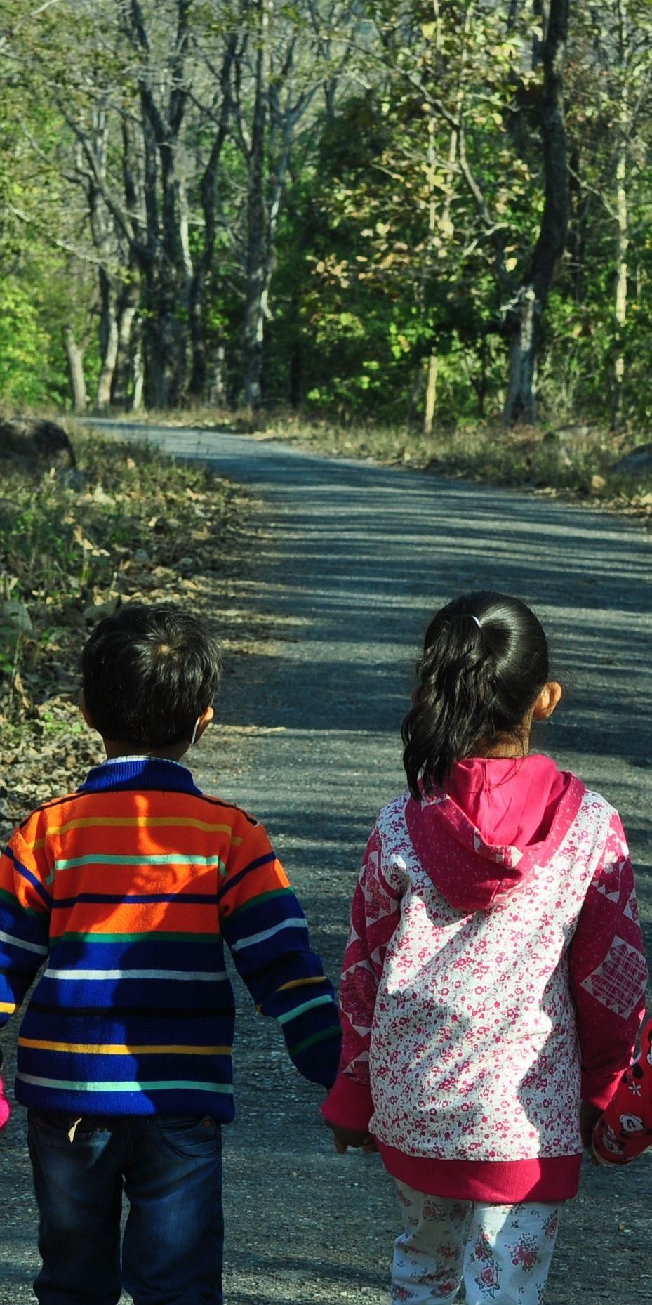 Exursions at The Golden Tusk, Jim Corbett