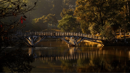 Wooden footbridge with angled supports spans a calm lake, mirrored in golden water, amid trees in warm late light.