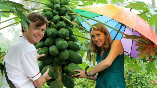 A man and a woman holding an umbrella posing near a papaya tree at Abad Turtle Beach Resort, the best resort in Allappey