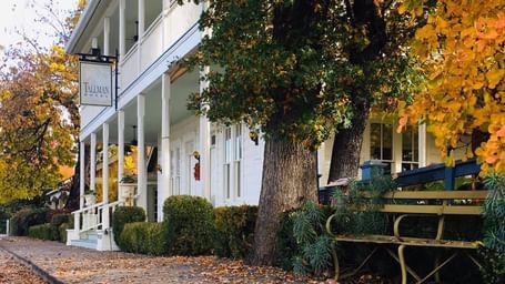 Falling yellow leaves from trees around a white house with a bench at front at Tallman Hotel