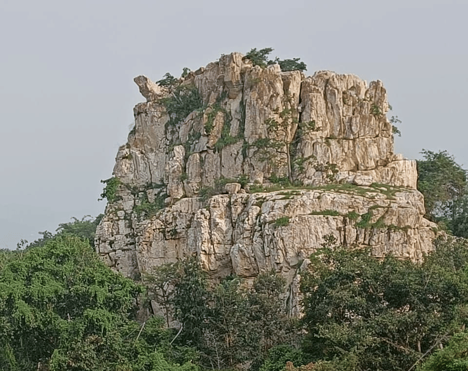 DNC shevaroys elephant rock trek image