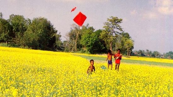 Kite Flying at Umaid Palace Hotel Kalakho Dausa Rajasthan