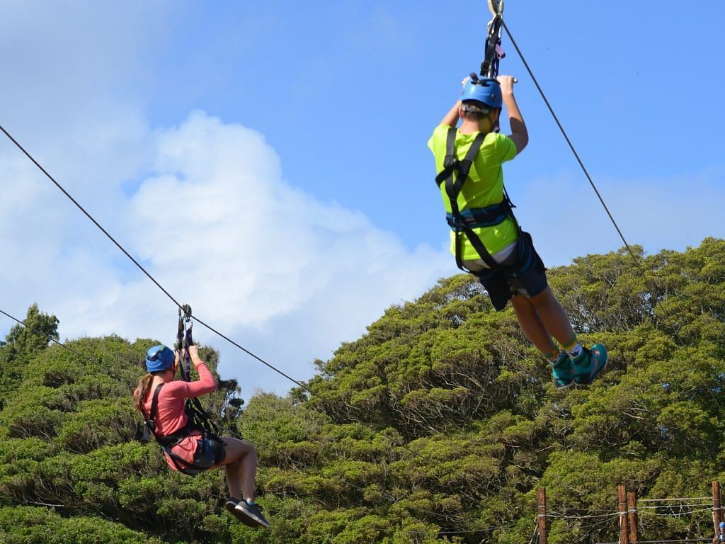 An image showing two people zip lining with trees in the background.