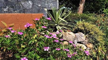 Solana entry garden Zihuatanejo