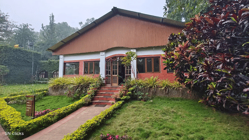 Cosy red-roofed cottage surrounded by lush plants and garden path