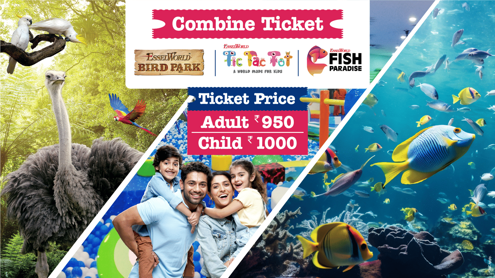 Combine Ticket-BP-TTT-FP-1365x768